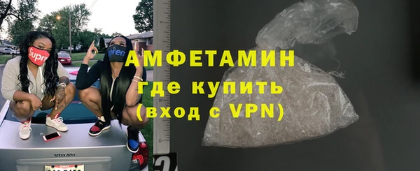 сатива Бородино