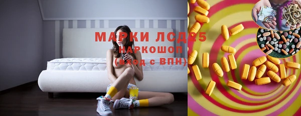 сатива Бородино