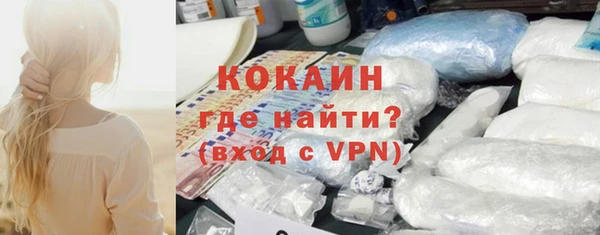 сатива Бородино