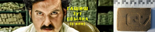 сатива Бородино