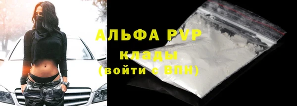 сатива Бородино