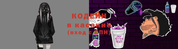 сатива Бородино