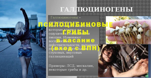 сатива Бородино