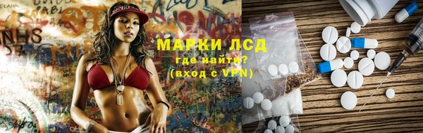 сатива Бородино