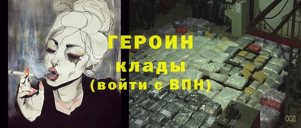 сатива Бородино