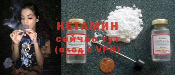сатива Бородино