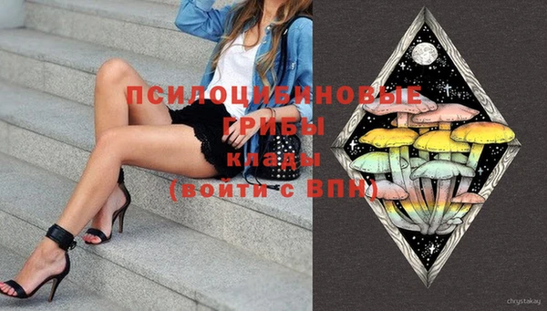 сатива Бородино