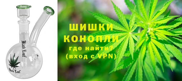 сатива Бородино