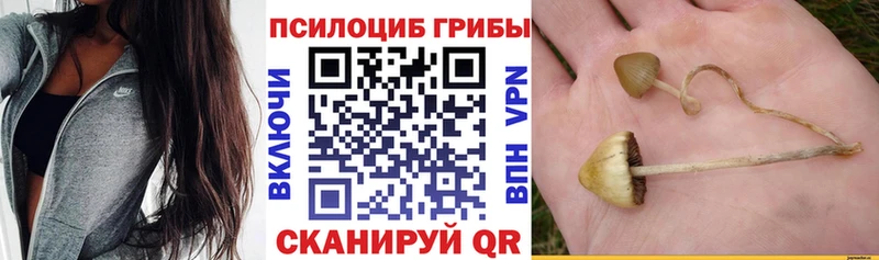Галлюциногенные грибы GOLDEN TEACHER  Купить  Называевск 